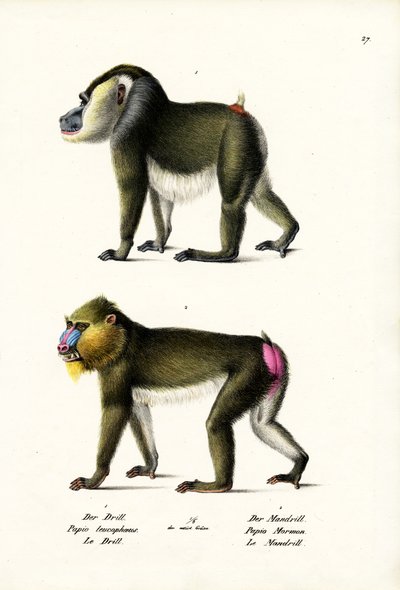 Übung, 1824 von Karl Joseph Brodtmann